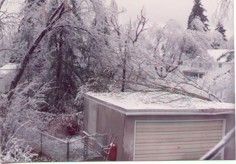 1991-3-4-IceStorm09.jpg