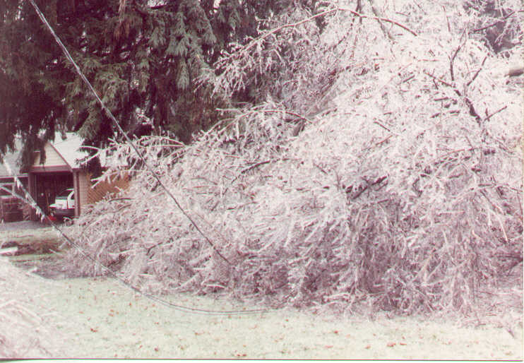 1991-3-4-IceStorm10.jpg
