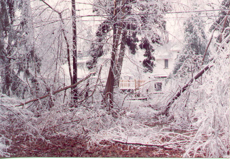 1991-3-4-IceStorm16.jpg