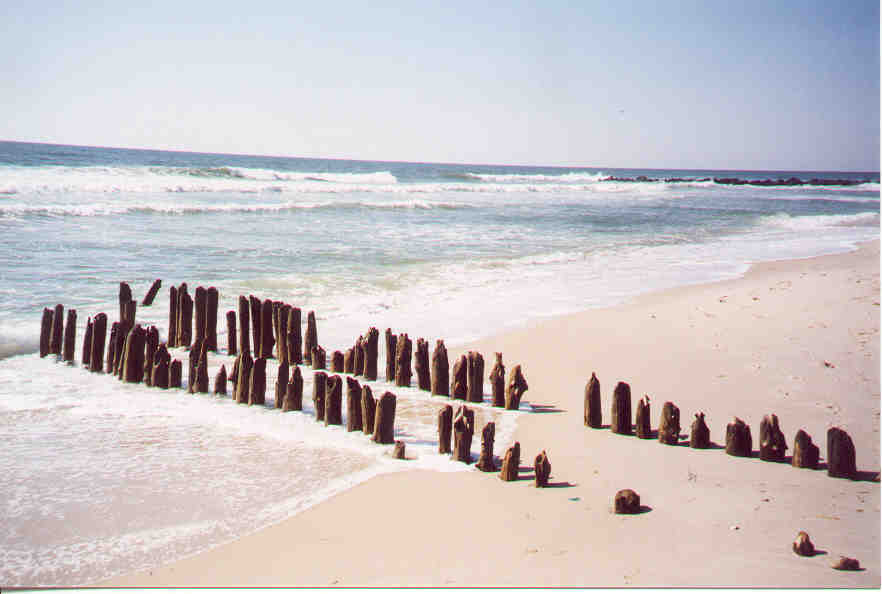 Long Beach Island New Jersey